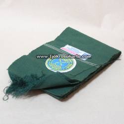 DPN 154 Stagen Polos Hijau PSR